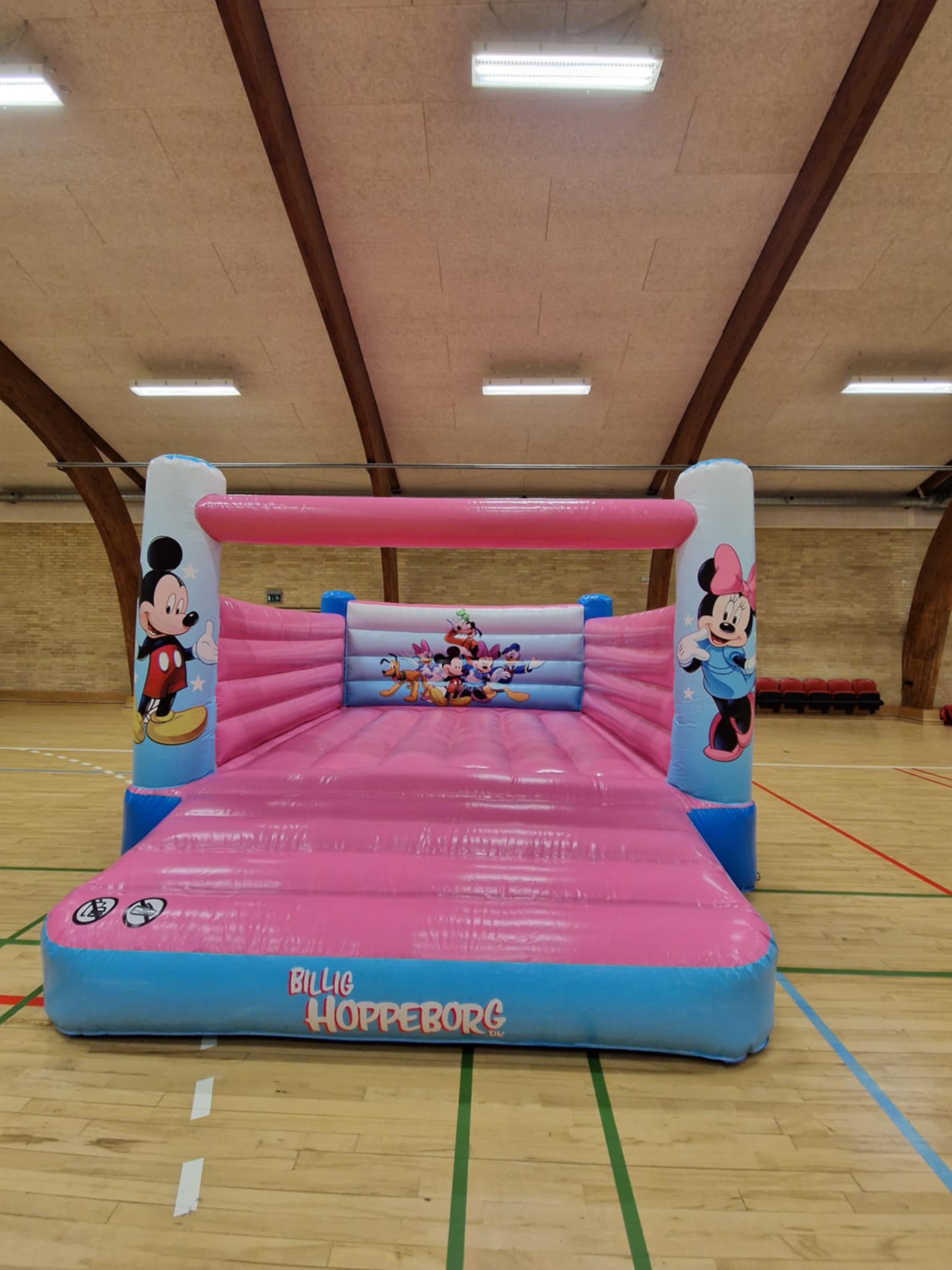 Pink og lyseblå Disney-hoppeborg